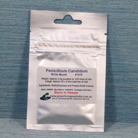 Penicillium Candidum