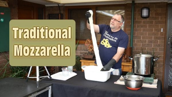 Traditional Mozzarella
