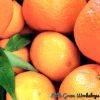 Tropical Tangerine Fragrance Oil