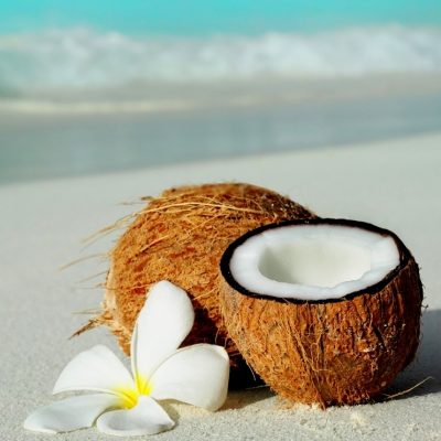 Island Coconut Fragrance Oil