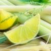 Lemongrass & Persian Lime Fragrance Oil