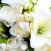 White Rose & Lily Fragrance Oil