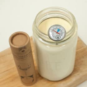 Dairy Thermometer Small