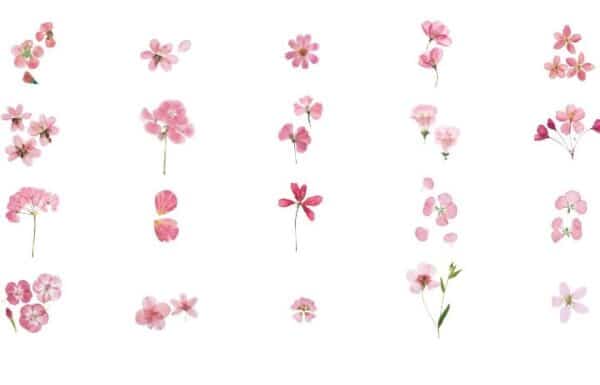 Pink PET Flowers