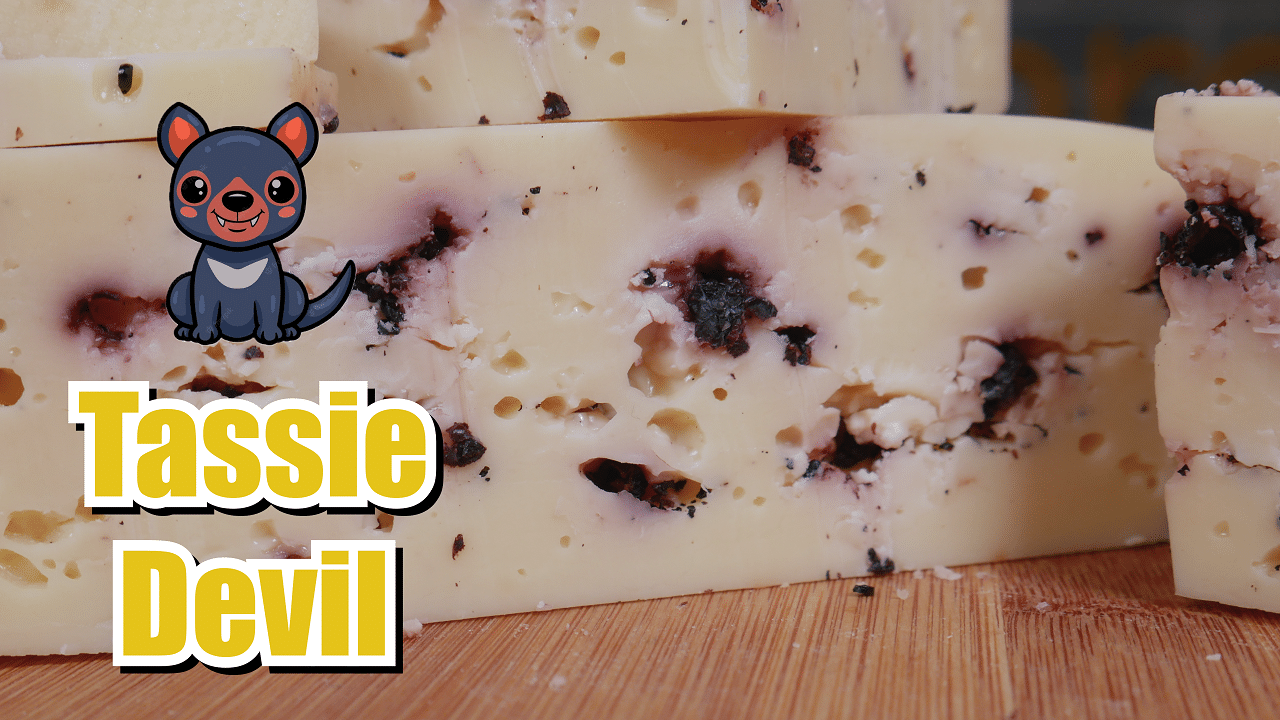 Tassie Devil Cheese Taste Test