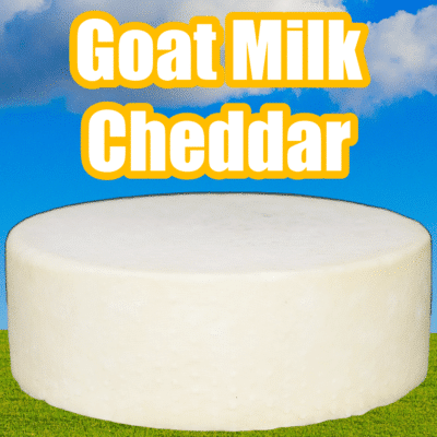 Goat Milk Cheddar recipe card